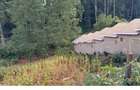 Land in Nyeri - 4