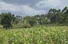 0.25 ac Residential Land in Ngong - 2
