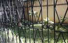 4 Bed Townhouse with En Suite at Nyali - 10