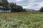 0.1 ha Commercial Land in Limuru - 10
