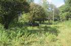 9 ac Land at Karen - 5