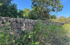 10.95 ac Land at Shanzu Beach - Overlooking Mtwapa Creek - 9