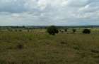 Land in Kitengela - 2