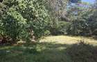 0.75 ac Residential Land at Off Naivasha Avenue - 4