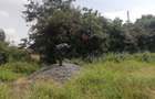 Land in Membley - 1