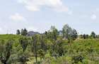 Residential Land at Riat - 7