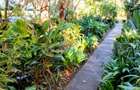 1 Bed House with En Suite in Kitisuru - 13