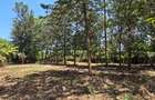 Residential Land at New Kitisuru - 6