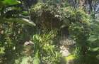 2 Bed House with En Suite in Karen - 12