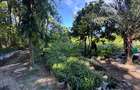 2 ac Land at Mtwapa - Animo - 11