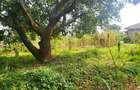 Land in Lower Kabete - 4