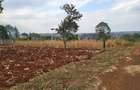 Residential Land in Ruiru - 8