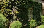 6 Bed House with En Suite in Tigoni - 16