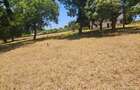 5 ac Land at Utange - 10