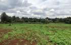 Land in Runda - 1