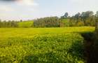 4.8 ac Land in Limuru - 5