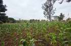 0.5 ac Land in Runda - 6