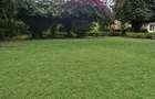2 Bed House with En Suite in Gigiri - 4