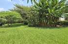 4 Bed Townhouse with En Suite in Rosslyn - 3