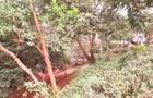 1 ac Land in Spring Valley - 1