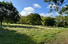 Land in Vipingo - 3