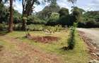 0.5 ac Residential Land in Karen - 1