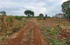Residential Land in Ruiru - 13