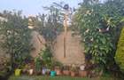 4 Bed House with En Suite in Loresho - 19