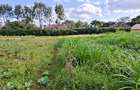 0.2 ha Residential Land at Three Dee Lane - 10