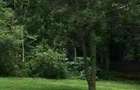 Land at Windy Ridge - 3
