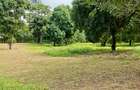 Land at Mtwapa - 6
