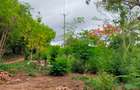 40 ac Land at Vipingo Kuruwitu - 9