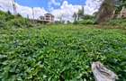 0.25 ac Land in Runda - 5