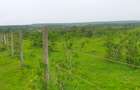 21 ac Land at Mavueni Mariakani Northern By - Pass Road - 2