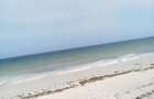 7 ac Land at Galu Beach - 4