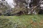 1.6 ac Land in Riverside - 2