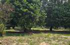 6 ac Land at Mtwapa - 11