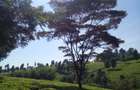 5 ac Land at Tigoni - 2