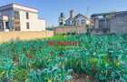 0.05 ha Residential Land at Gikambura - 1