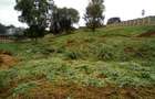 Land at Red Hill Rd - 7