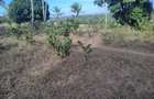 1,450 ac Land at Mabokoni - 4