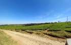 250 ac Land at Kiambu - 7