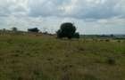 Land in Kitengela - 1