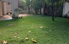 4 Bed Townhouse with En Suite at Runda Gardens - 10