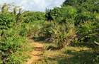 Land at Tiwi Near Diani South Coast - 9