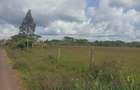 Land in Karen - 7
