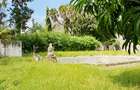 3 Bed Villa with En Suite at Malindi - 4