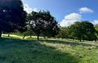 Land in Vipingo - 5