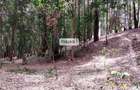 7.92 ac Commercial Land in Redhill - 7