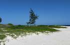 Land at Bofa Beach - 9